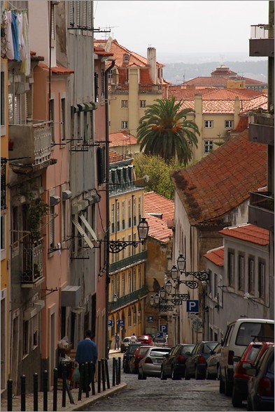 Street with Palm Tree.jpg
