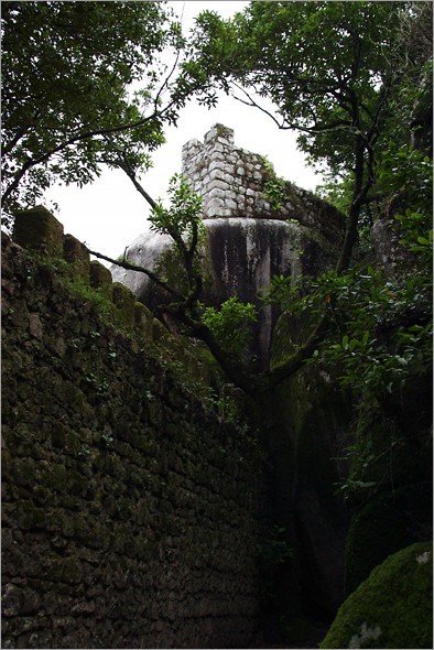 Outside looking in.jpg