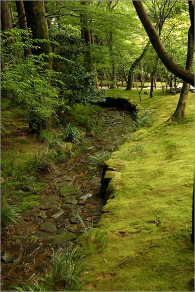 ginkaku-ji_stream.jpg