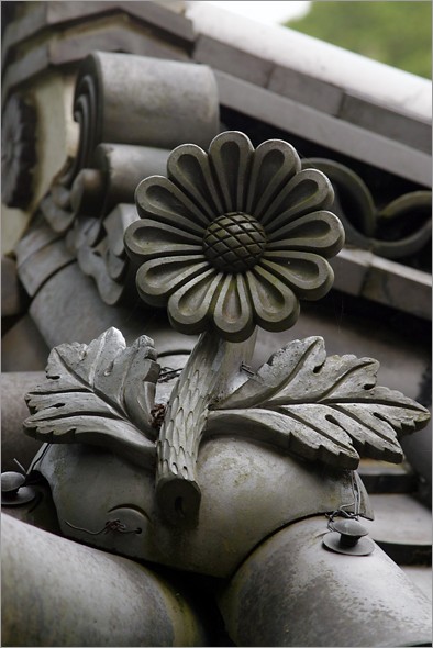 roof_flower.jpg