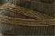 bound_tree_detail.jpg