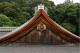 roof_peak.jpg
