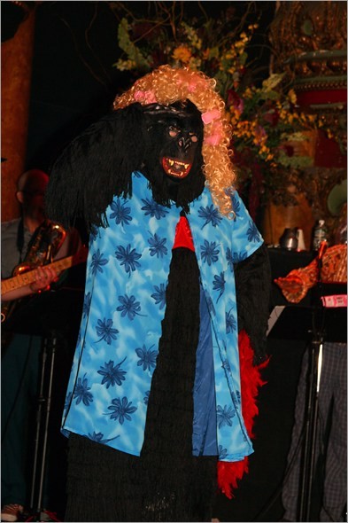 Gorilla.jpg