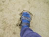 muddy_foot