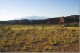 car_and_mountains.jpg